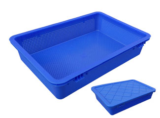 288號 草莓视频免费黄片周轉筐