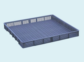 167號 草莓视频免费黄片盤