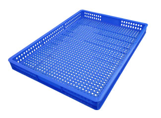 171號 草莓视频免费黄片盤