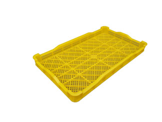 273號 草莓视频免费黄片盤 273號 草莓视频免费黄片盤