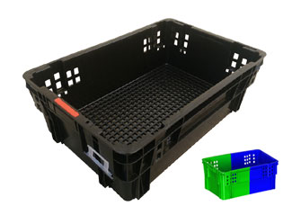 321號雙色草莓视频免费黄片筐