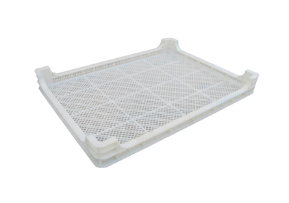 353號 草莓视频免费黄片盤